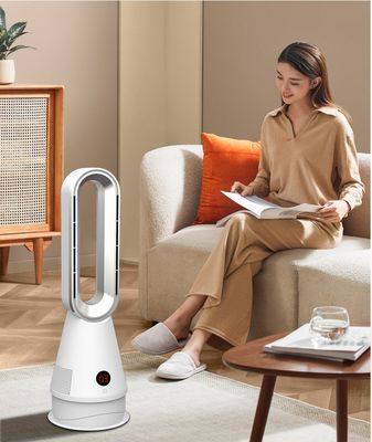 Tipo di controllo Ventilatore di riscaldamento elettrico a controllo remoto 3,5 kg Portatile 2 in 1 per comodità