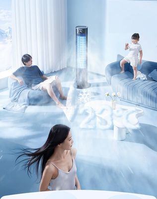 Ventilatore di condizionamento d'aria per neve mobile verticale con tensione 220V e muffe private