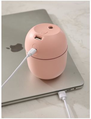 Altre funzioni Umidificatore ad ultrasuoni H2o Mini Cup Spray Mist per auto Umidificatore d'aria USB