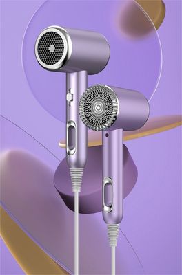 Salone alberghiero Casalinga Asciugacapelli ad alta velocità Air Styler Spazzola ad aria calda per professionisti