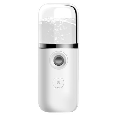 Vapore portatile a nebbia di tasca USB ricaricabile Nano Facial Mister Mini Facial Sprayer