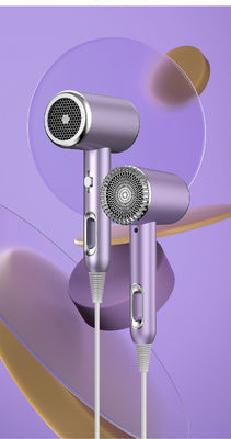 Asciugatrice di capelli a alta velocità viola blu bianco Air Styler Salon spazzola ad aria calda per la casa