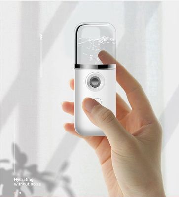 Vapore portatile a nebbia di tasca USB ricaricabile Nano Facial Mister Mini Facial Sprayer